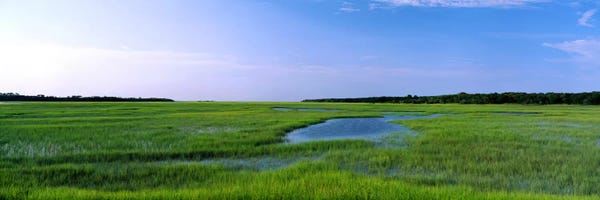 Jacksonville: USA, Florida, Jacksonville, Atlantic Coast, Salt Marshes by Panoramic Images