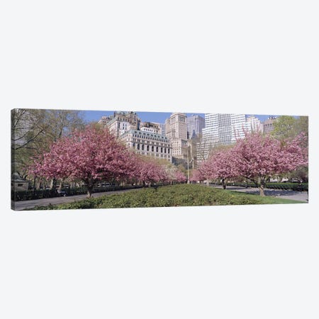 Cherry Trees, Battery Park, New York City, New York, USA Canvas Print #PIM2940} by Panoramic Images Canvas Artwork
