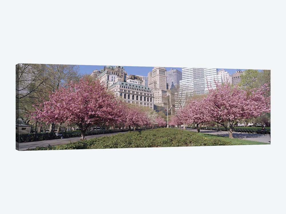 Cherry Trees, Battery Park, New York City, New York, USA by Panoramic Images 1-piece Canvas Art