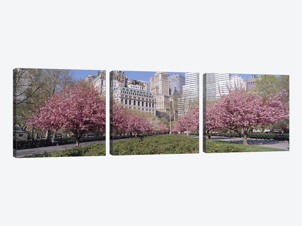 Cherry Trees, Battery Park, New York City, New York, USA by Panoramic Images 3-piece Canvas Art