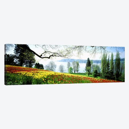 Flowers Near The Shoreline, Mainau (Flower Island), Germany Canvas Print #PIM2948} by Panoramic Images Canvas Wall Art