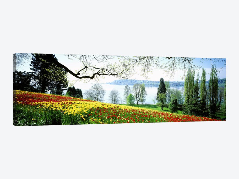 Flowers Near The Shoreline, Mainau (Flower Island), Germany by Panoramic Images 1-piece Canvas Artwork