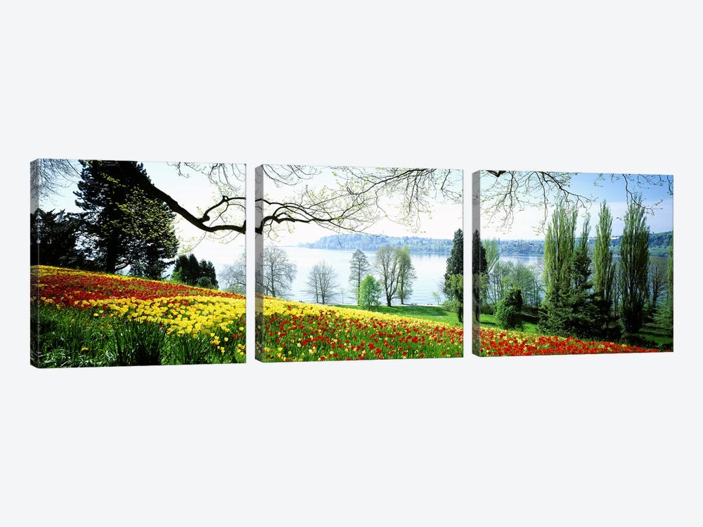 Flowers Near The Shoreline, Mainau (Flower Island), Germany by Panoramic Images 3-piece Canvas Wall Art