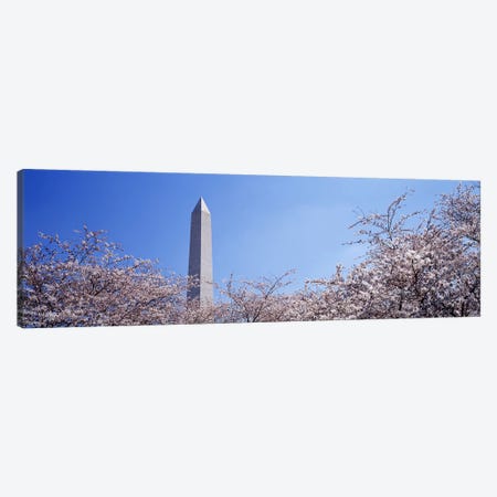 Washington Monument behind cherry blossom trees, Washington DC, USA Canvas Print #PIM2953} by Panoramic Images Canvas Print