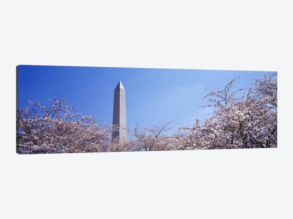 Washington Monument behind cherry blossom trees, Washington DC, USA by Panoramic Images 1-piece Canvas Wall Art