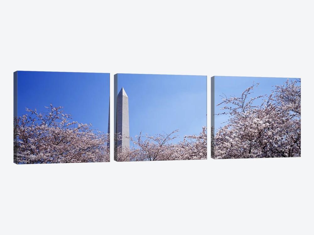 Washington Monument behind cherry blossom trees, Washington DC, USA by Panoramic Images 3-piece Canvas Artwork