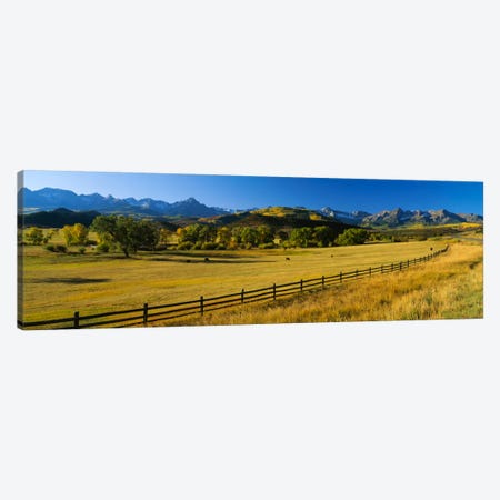 Trees in a field, Colorado, USA Canvas Print #PIM295} by Panoramic Images Canvas Art