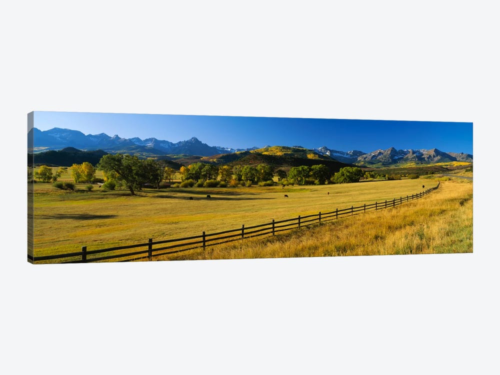 Trees in a field, Colorado, USA by Panoramic Images 1-piece Canvas Art Print