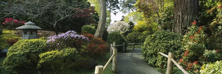 Japanese Tea Garden, San Francisco, California, USA