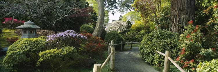 Japanese Tea Garden, San Francisco, California, USA by Panoramic Images wall art