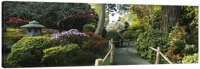 Japanese Tea Garden, San Francisco, California, USA Canvas Art Print - Tea Art