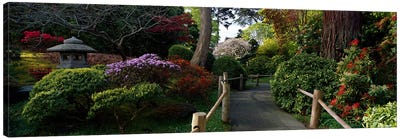 Japanese Tea Garden, San Francisco, California, USA Canvas Art Print - Trail, Path & Road Art