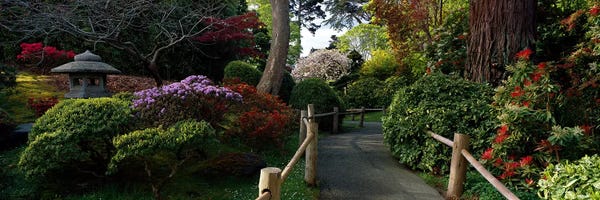 San Francisco: Japanese Tea Garden, San Francisco, California, USA by Panoramic Images