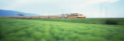 TGV High-speed Train passing through a grassland by Panoramic Images canvas print