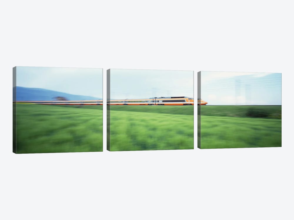 TGV High-speed Train passing through a grassland by Panoramic Images 3-piece Canvas Wall Art