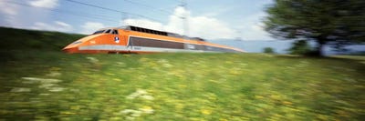 Blurred Motion View Of A TGV (High-Speed Train) by Panoramic Images multi panel art