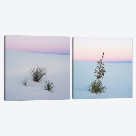 Sopatree Yucca Diptych Canvas Print Set #PIM2HSET001} by Panoramic Images Art Print
