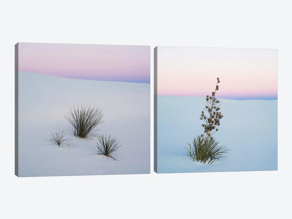 Sopatree Yucca Diptych by Panoramic Images 2-piece Art Print