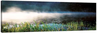 Morning fog Acadia National Park ME USA Canvas Art Print - Acadia National Park
