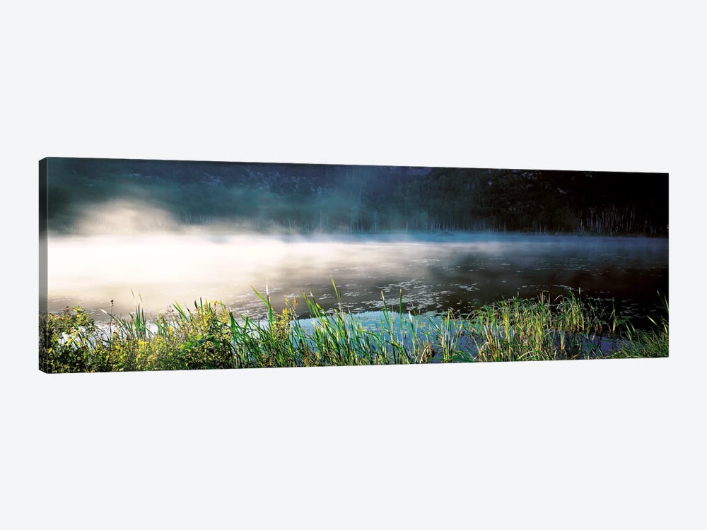 Morning fog Acadia National Park ME USA by Panoramic Images 1-piece Art Print