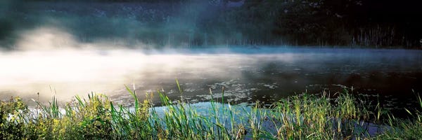 Acadia National Park: Morning fog Acadia National Park ME USA by Panoramic Images