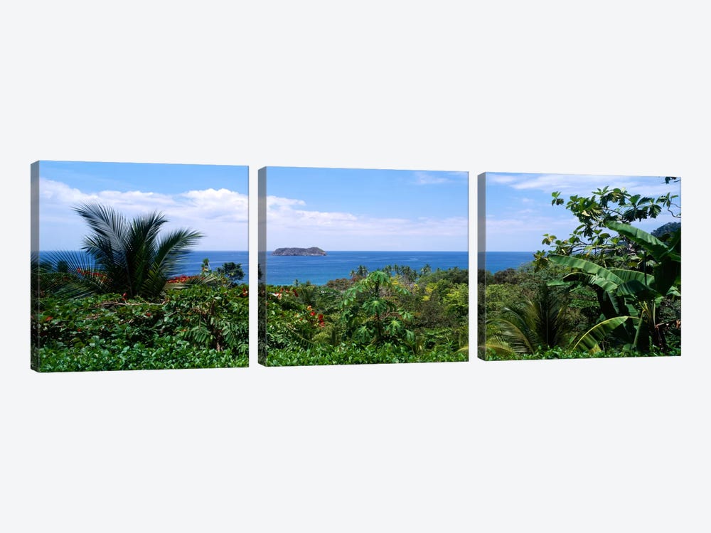Manuel Antonia National Park nr Quepos Costa Rica by Panoramic Images 3-piece Canvas Art Print