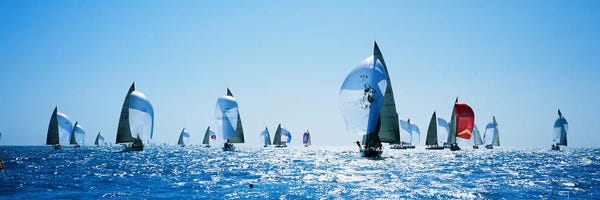 Key West: Sailboat Race, Key West, Florida, USA by Panoramic Images