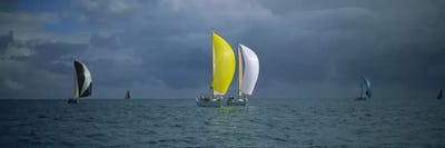 Sailboat racing in the oceanKey West, Florida, USA by Panoramic Images framed canvas print
