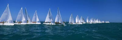 Sailboat racing in the oceanKey West, Florida, USA by Panoramic Images framed canvas print