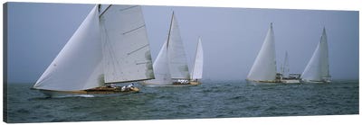 Sailboats at regattaNewport, Rhode Island, USA Canvas Art Print - Boat Art