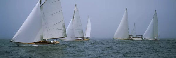 Photography: Sailboats at regattaNewport, Rhode Island, USA by Panoramic Images