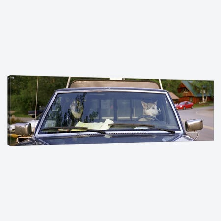 Close-up of two dogs in a pick-up truckMain Street, Talkeetna, Alaska, USA Canvas Print #PIM3106} by Panoramic Images Canvas Wall Art