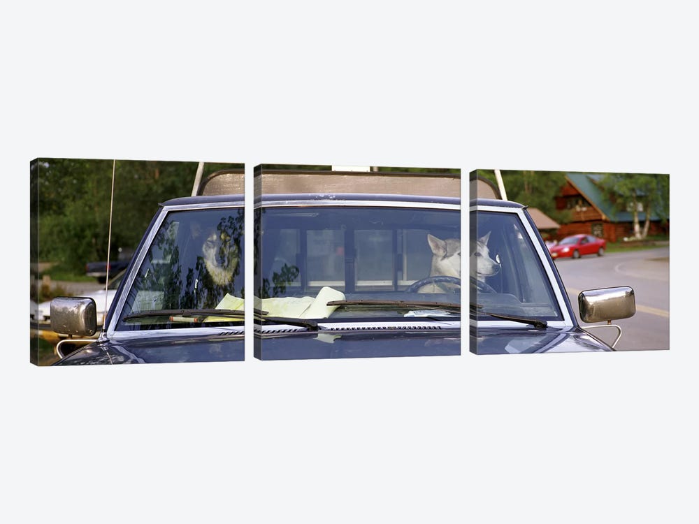 Close-up of two dogs in a pick-up truckMain Street, Talkeetna, Alaska, USA by Panoramic Images 3-piece Canvas Print