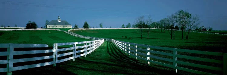 Outdoor Fields Of A Horse Farm, Lexington, Kentucky, USA