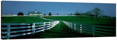 Outdoor Fields Of A Horse Farm, Lexington, Kentucky, USA Canvas Art Print - Kentucky Art