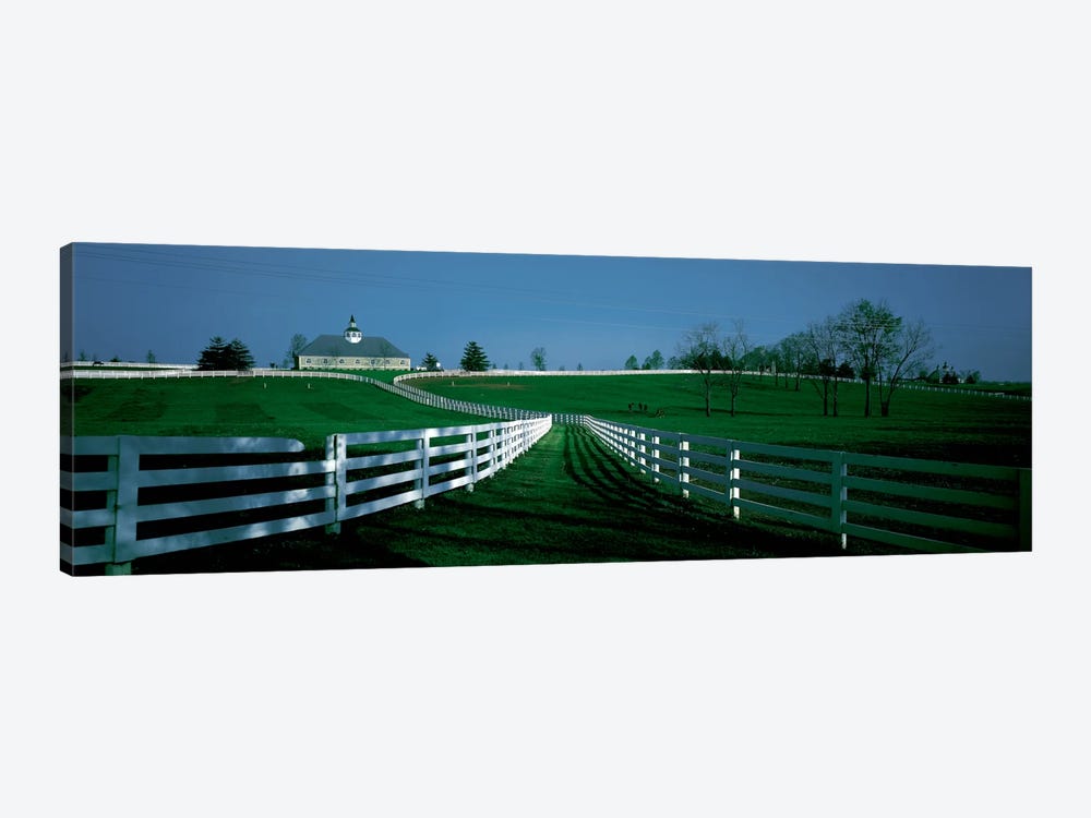 Outdoor Fields Of A Horse Farm, Lexington, Kentucky, USA by Panoramic Images 1-piece Canvas Wall Art