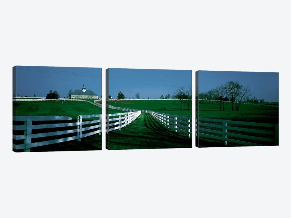Outdoor Fields Of A Horse Farm, Lexington, Kentucky, USA by Panoramic Images 3-piece Canvas Artwork