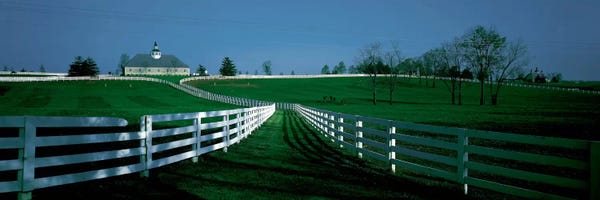 Kentucky: Outdoor Fields Of A Horse Farm, Lexington, Kentucky, USA by Panoramic Images