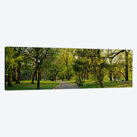 Trees In A Park, Central Park, NYC, New York City, New York State, USA Canvas Print #PIM3153} by Panoramic Images Canvas Art