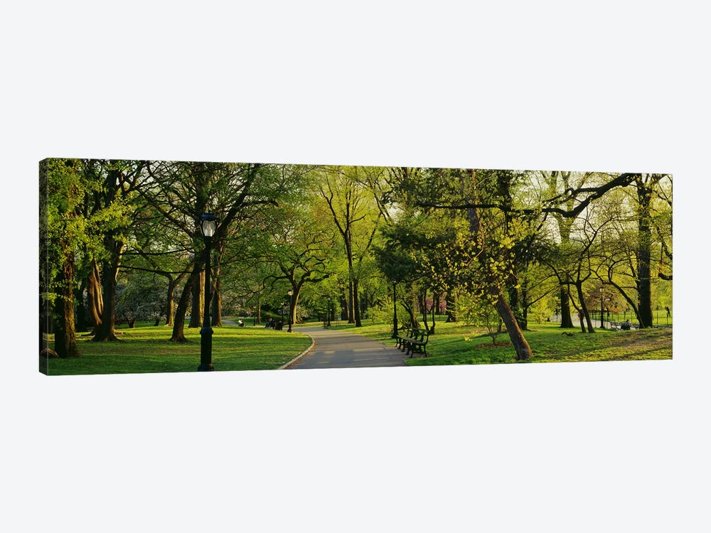 Trees In A Park, Central Park, NYC, New York City, New York State, USA by Panoramic Images 1-piece Canvas Print