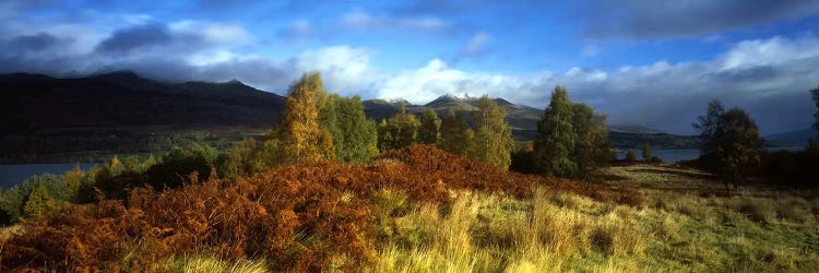 Peaceful Autumn Landscape, Near Loch Tay, Highlands, Scotland, United Kingdom