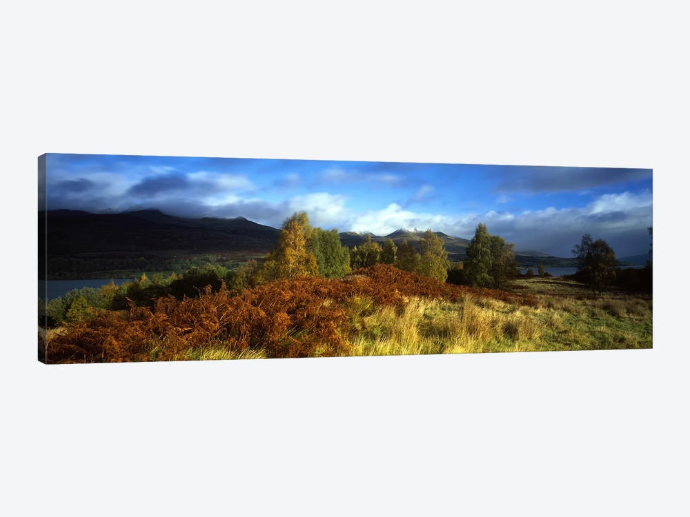 Peaceful Autumn Landscape, Near Loch Tay, Highlands, Scotland, United Kingdom by Panoramic Images 1-piece Canvas Artwork