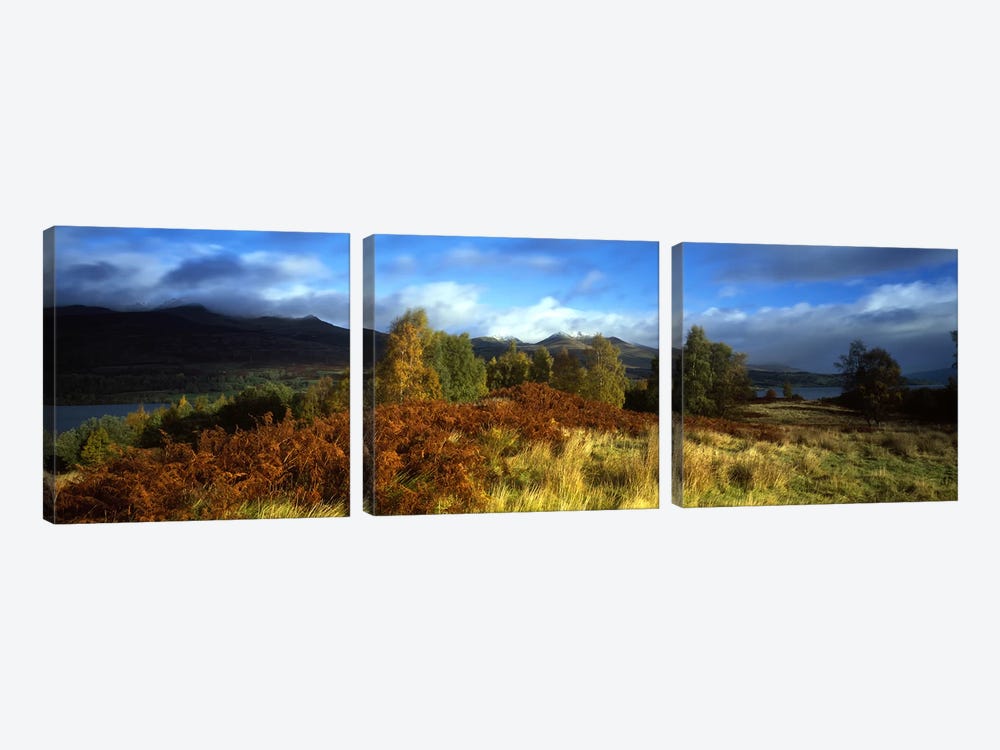 Peaceful Autumn Landscape, Near Loch Tay, Highlands, Scotland, United Kingdom by Panoramic Images 3-piece Canvas Art