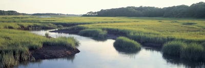 Salt Marsh Cape Cod MA USA by Panoramic Images canvas print