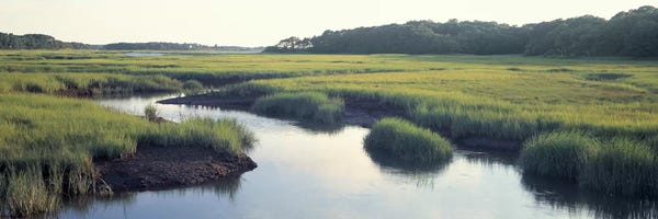 Marshes & Swamps: Salt Marsh Cape Cod MA USA by Panoramic Images