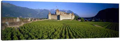 Vineyard in front of a castle, Aigle Castle, Musee de la Vigne et du Vin, Aigle, Vaud, Switzerland Canvas Art Print
