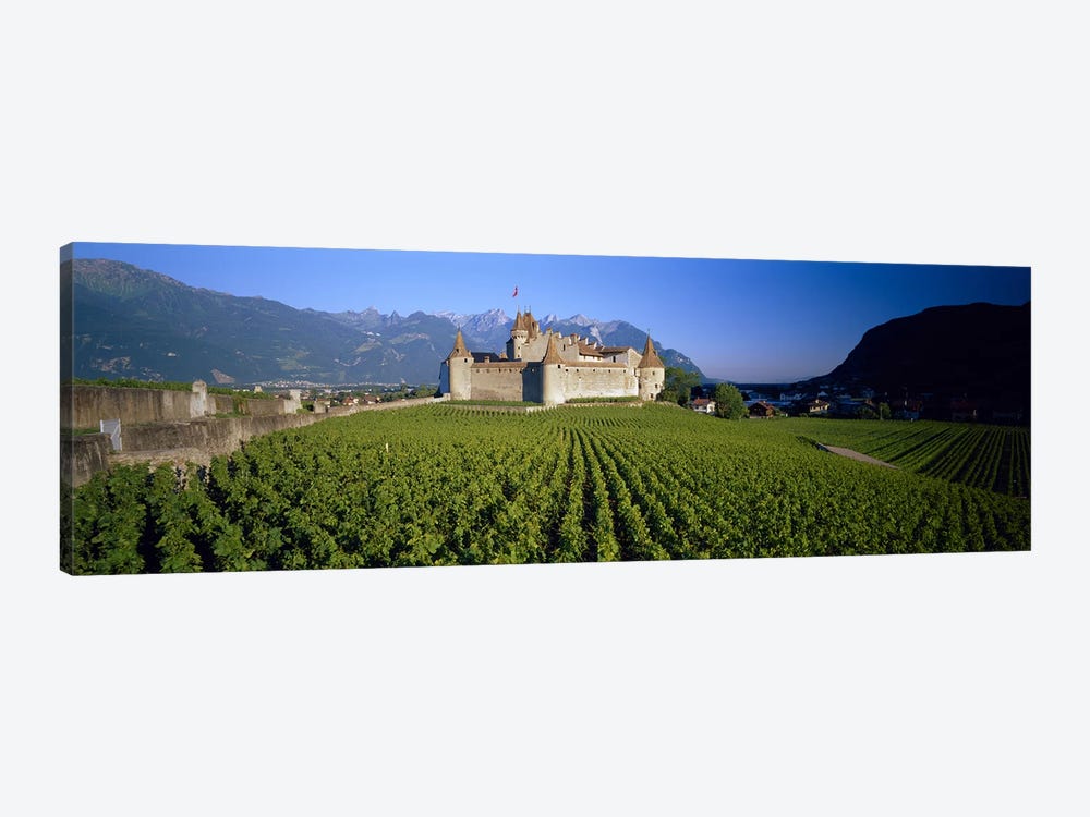 Vineyard in front of a castle, Aigle Castle, Musee de la Vigne et du Vin, Aigle, Vaud, Switzerland by Panoramic Images 1-piece Art Print