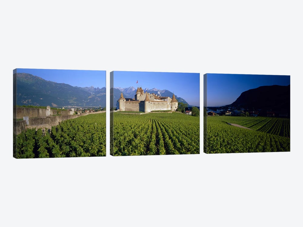 Vineyard in front of a castle, Aigle Castle, Musee de la Vigne et du Vin, Aigle, Vaud, Switzerland by Panoramic Images 3-piece Art Print