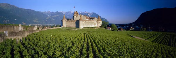 Switzerland: Vineyard in front of a castle, Aigle Castle, Musee de la Vigne et du Vin, Aigle, Vaud, Switzerland by Panoramic Images