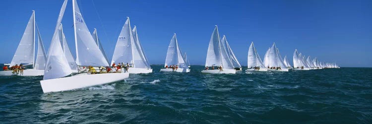 Sailboat racing in the ocean, Key West, Florida, USA